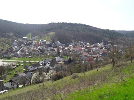 Weinberge im Frühjahr